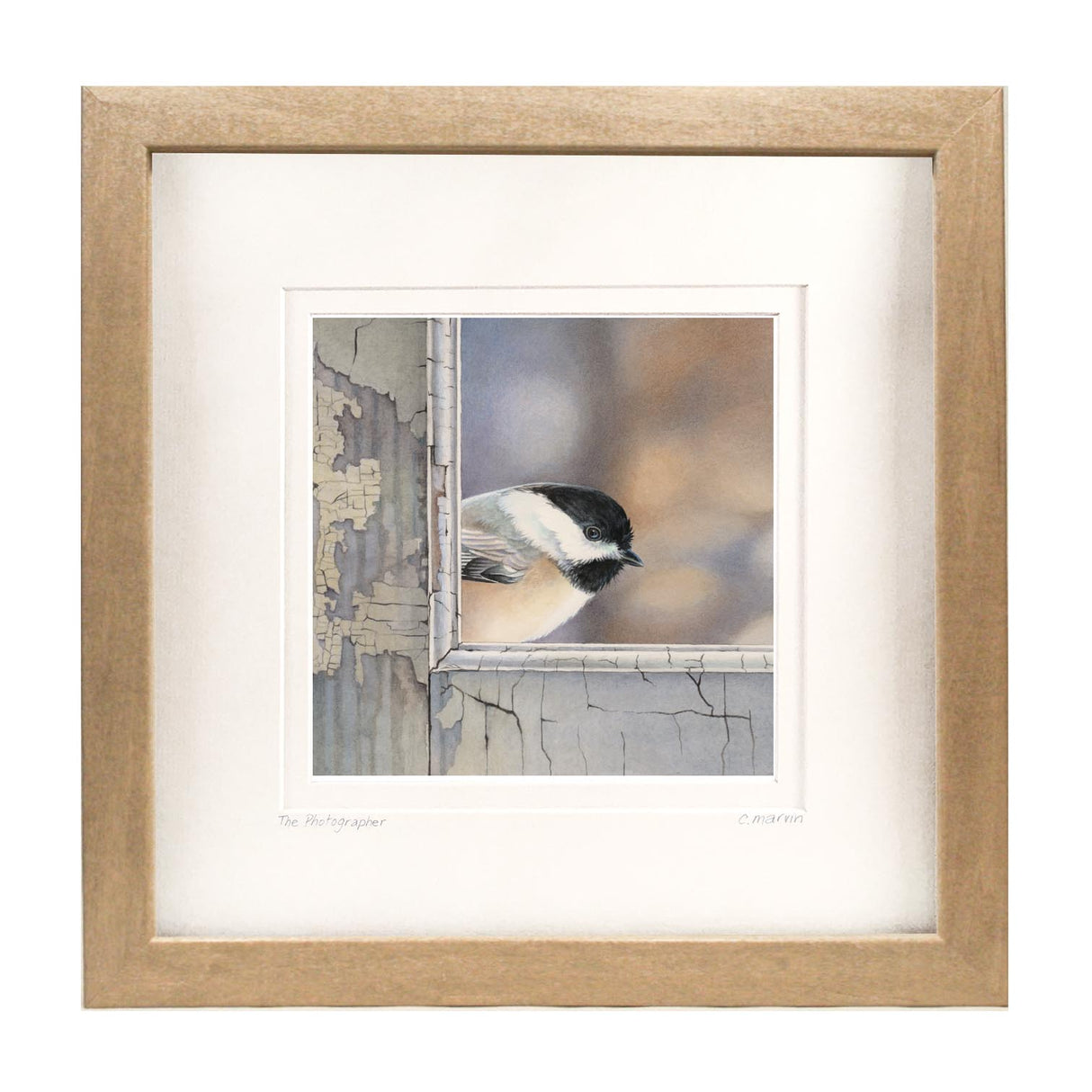 Chickadee Checks In
