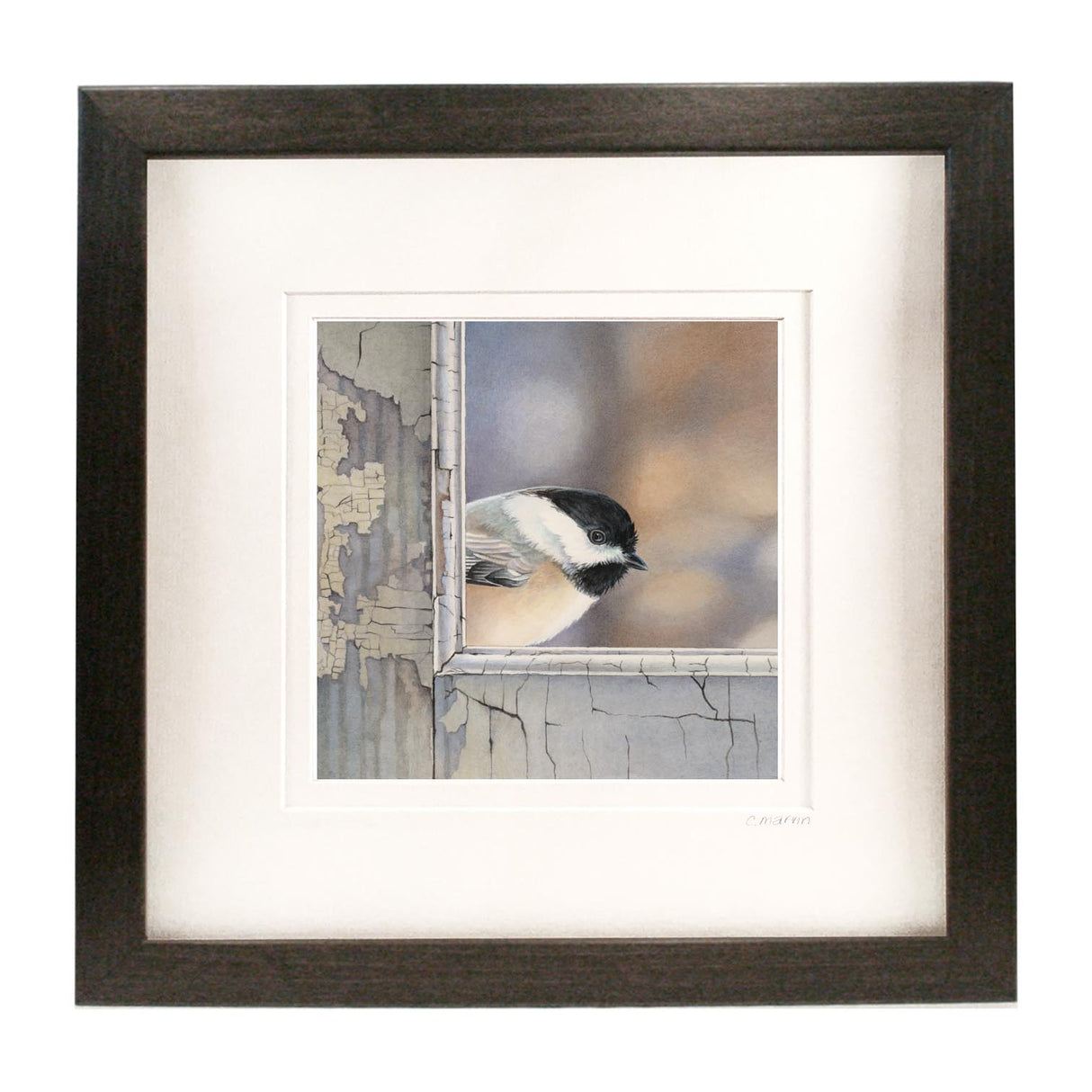 Chickadee Checks In