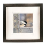 Chickadee Checks In