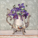 Clematis