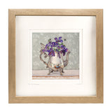 Clematis