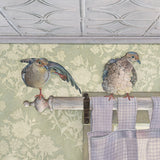 Courtship