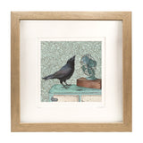 Crow Cools Off