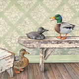 The Decoy