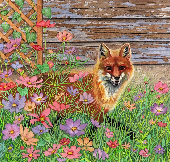 Exploring the Cosmos - Gallery