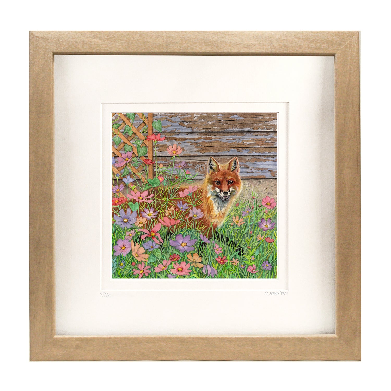 Exploring the Cosmos