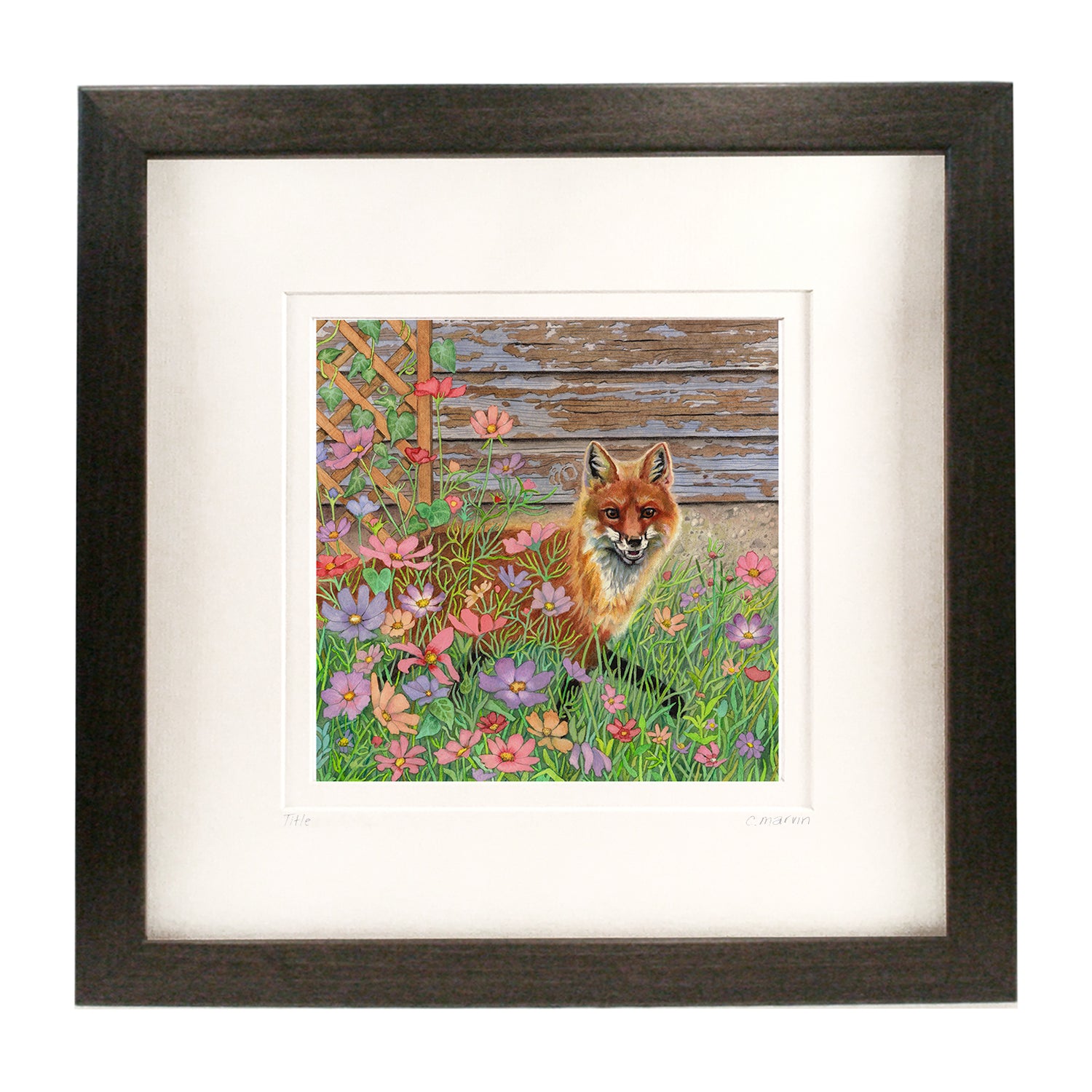 Exploring the Cosmos