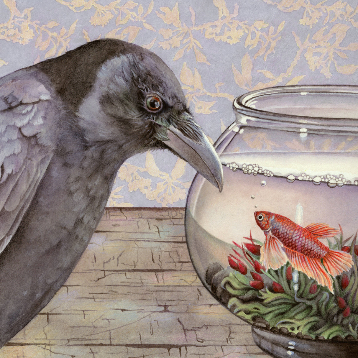 Feather and Fin - Gallery