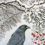 First Snow