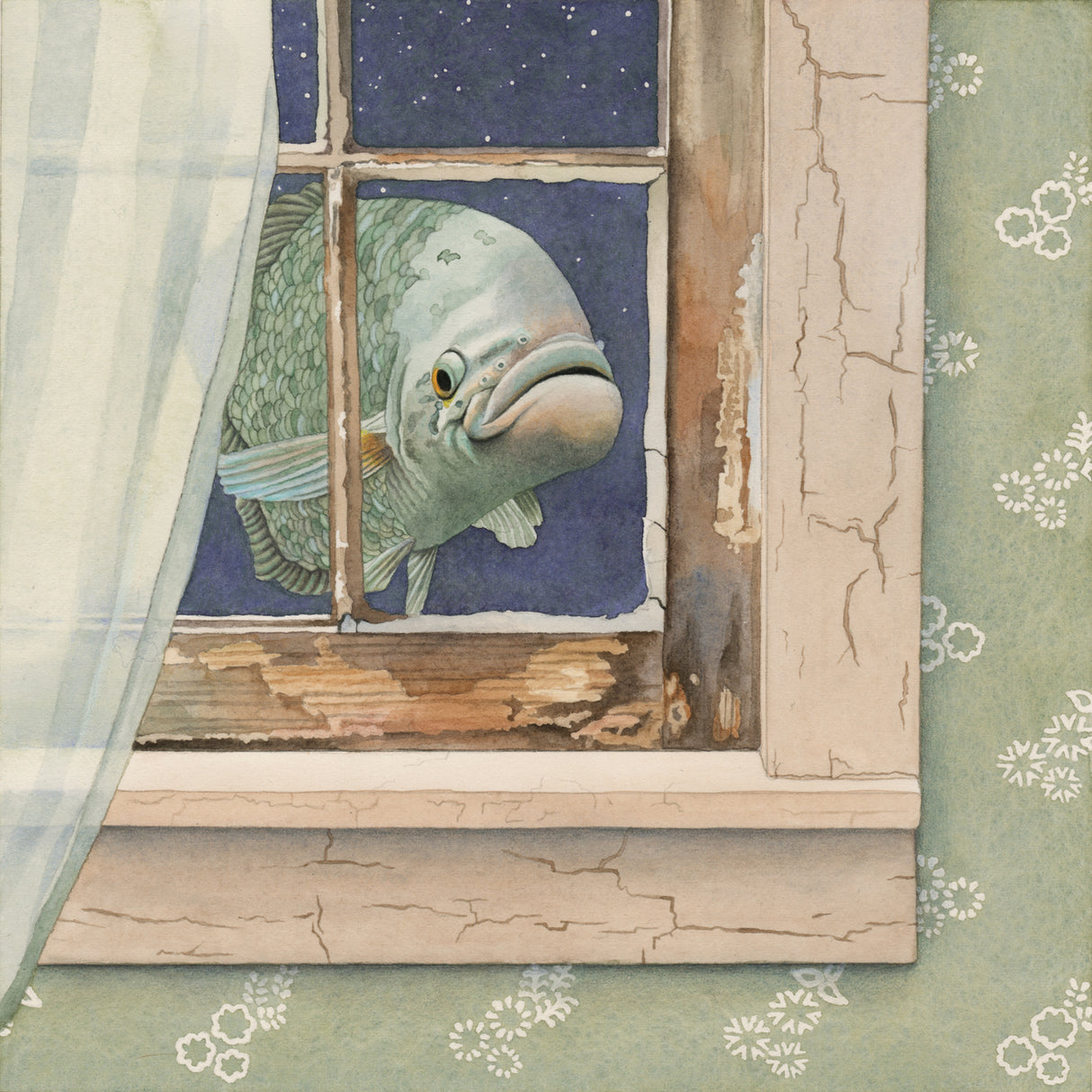 Fish at My Window