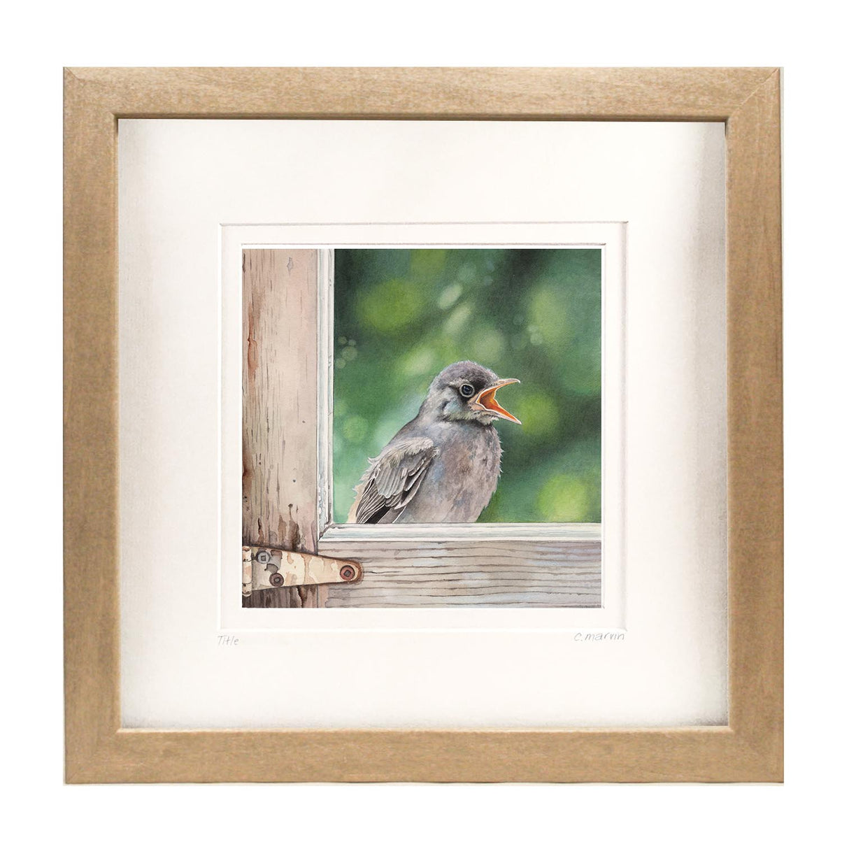 Flycatcher