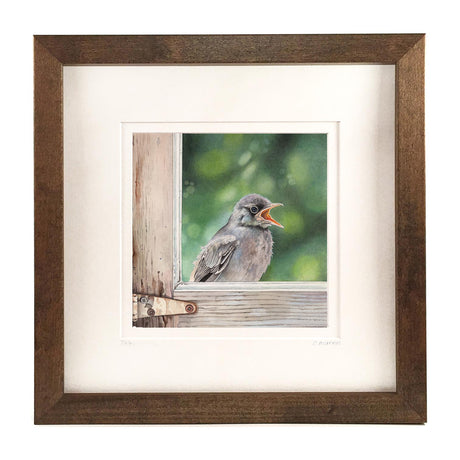 Flycatcher