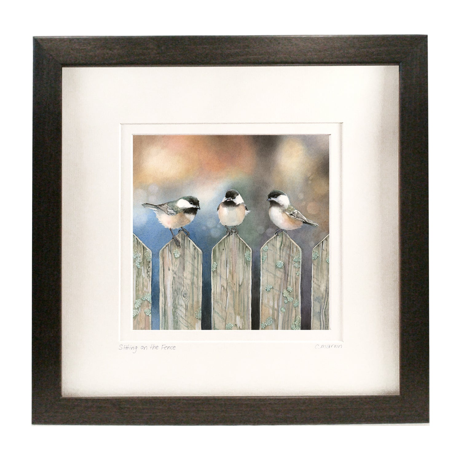 Sitting on the Fence