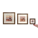 Wood Thrush at the Window