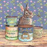 Honey Bunny