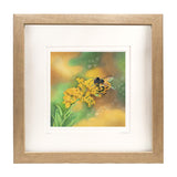 Honeybee