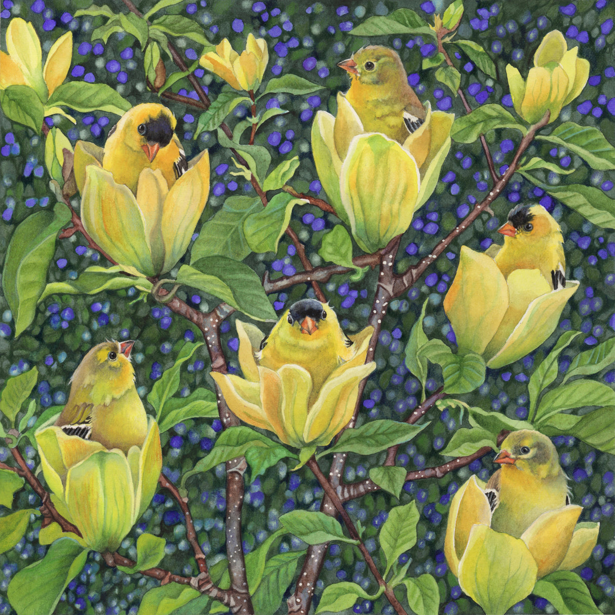 In Bloom - Gallery
