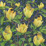 In Bloom