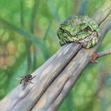 Let Sleepy Frogs Lie