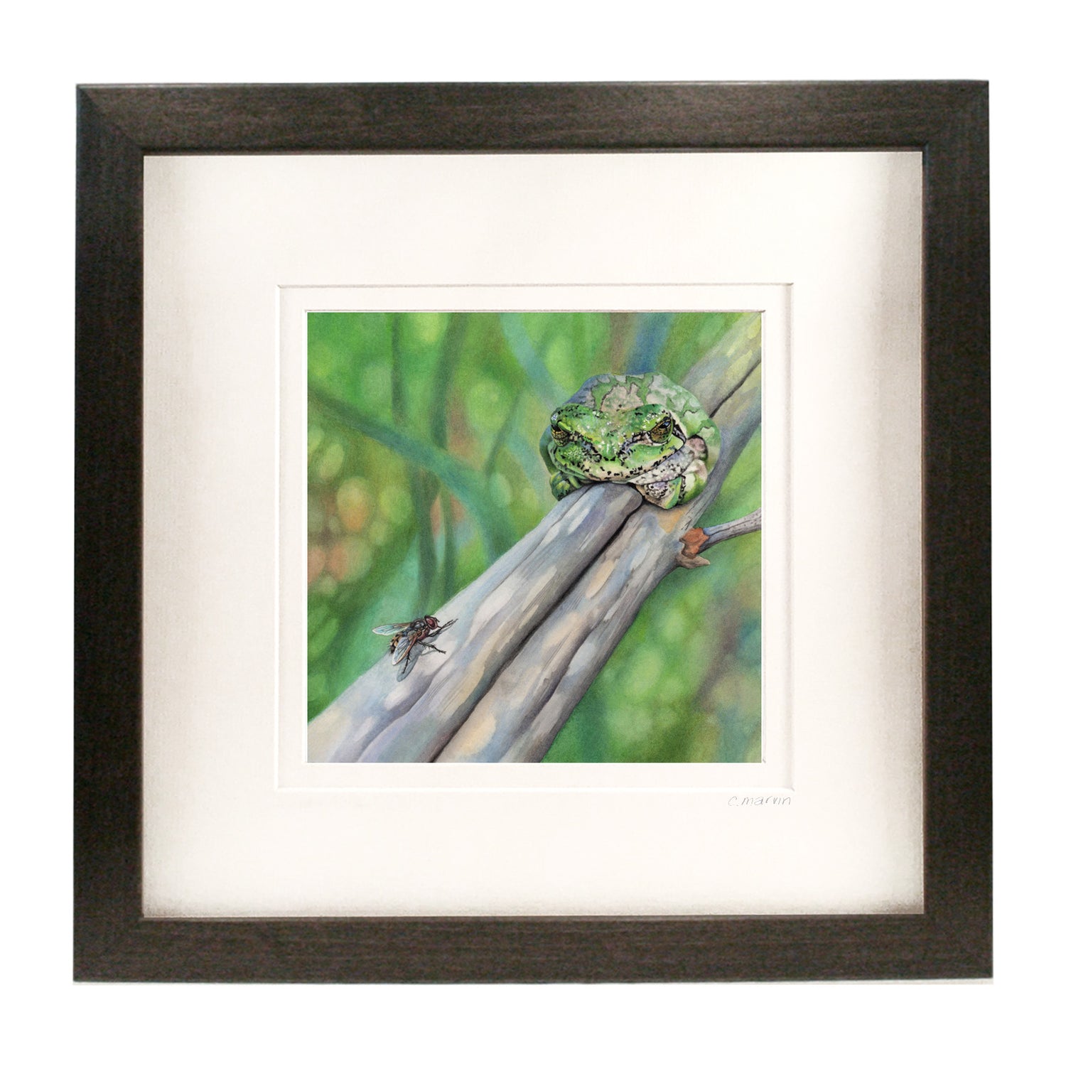 Let Sleepy Frogs Lie