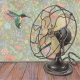 Meeting a Big Fan