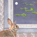 Moonlight Visitors
