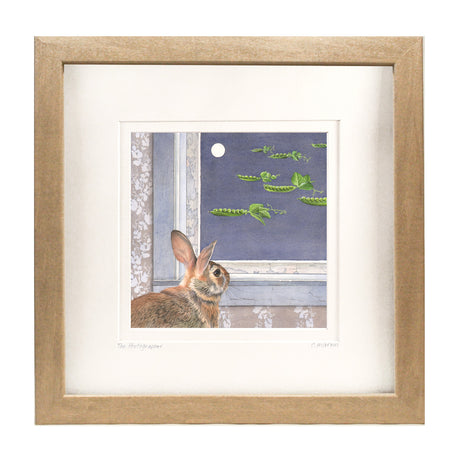 Moonlight Visitors