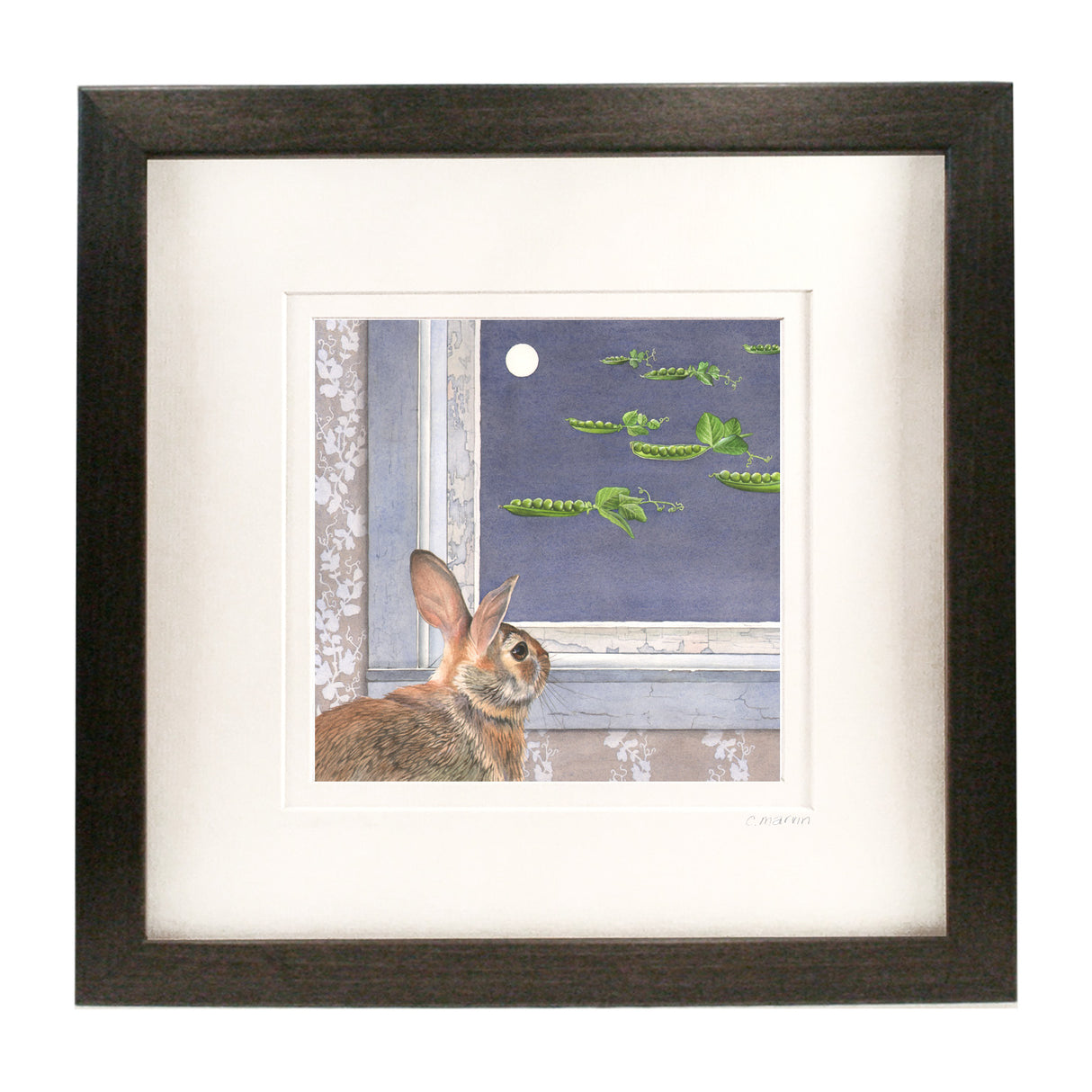 Moonlight Visitors