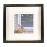 Moonlight Visitors