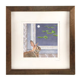 Moonlight Visitors