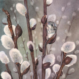 Mousy Willow