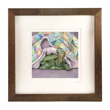Napping Turtle