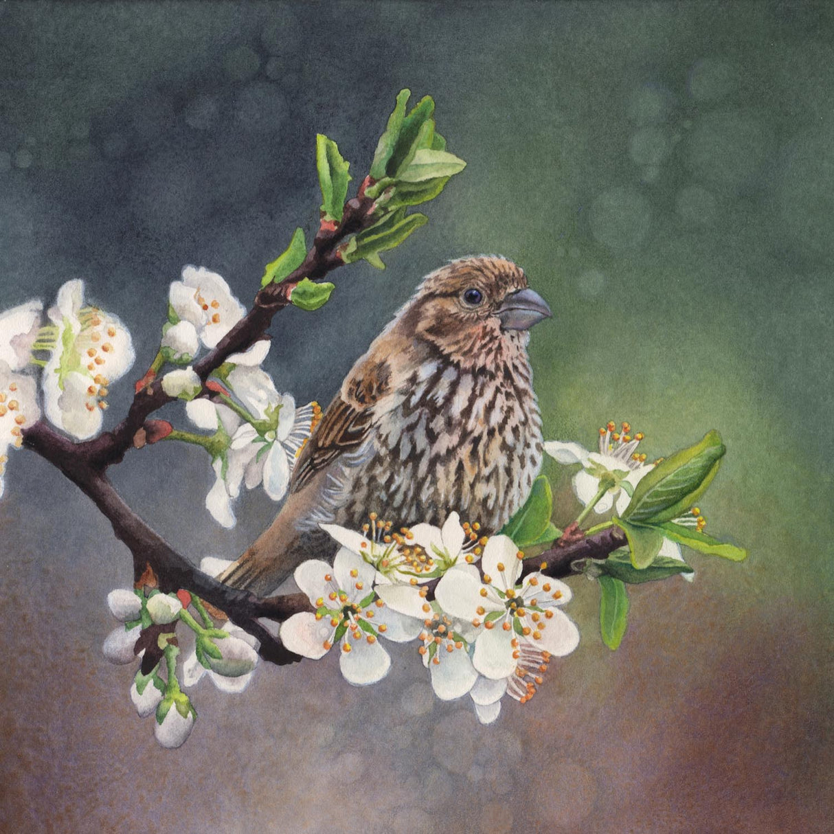 Plum Blossoms