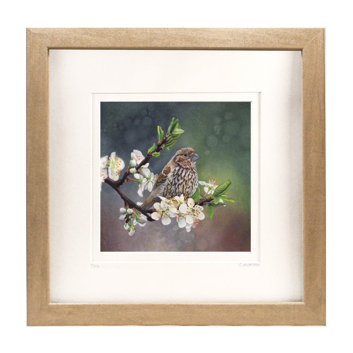 Plum Blossoms