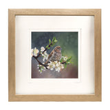 Plum Blossoms