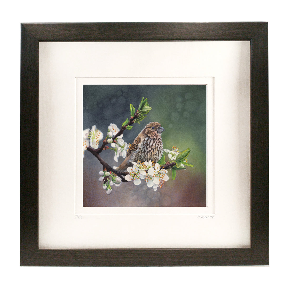 Plum Blossoms