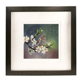 Plum Blossoms