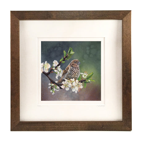 Plum Blossoms