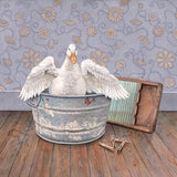 Rub-a-dub-duck