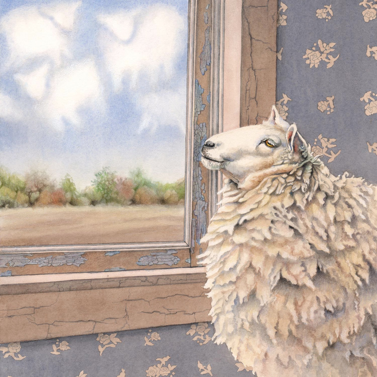 Sheep Shapes - Gallery
