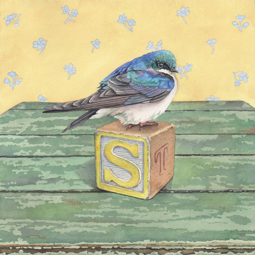 S is for Swallow