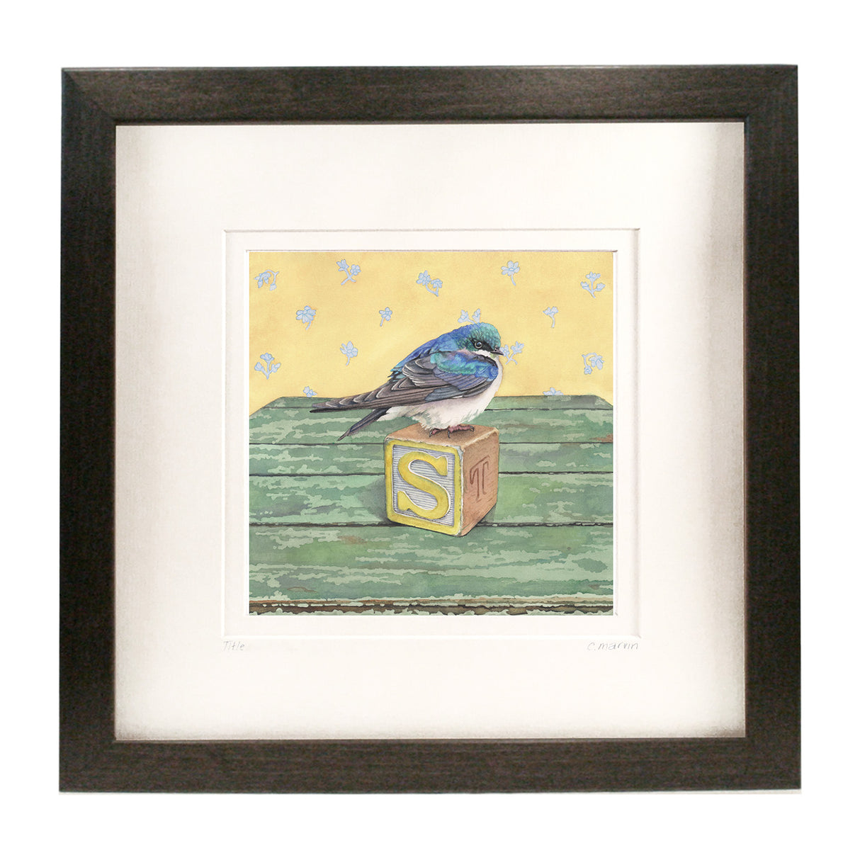 S is for Swallow