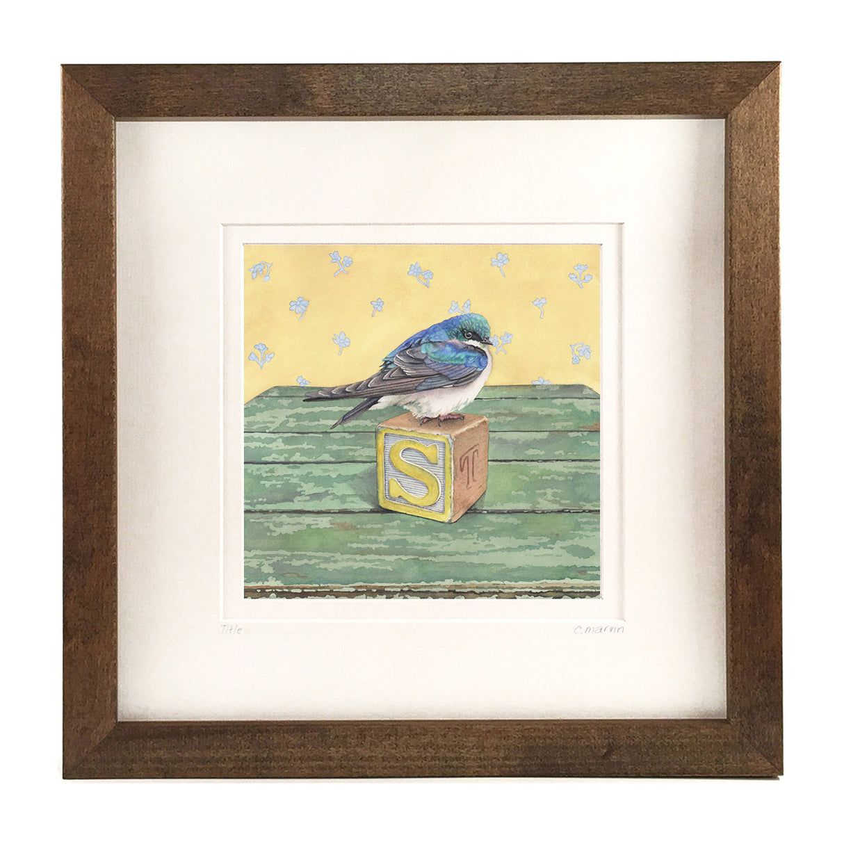S is for Swallow