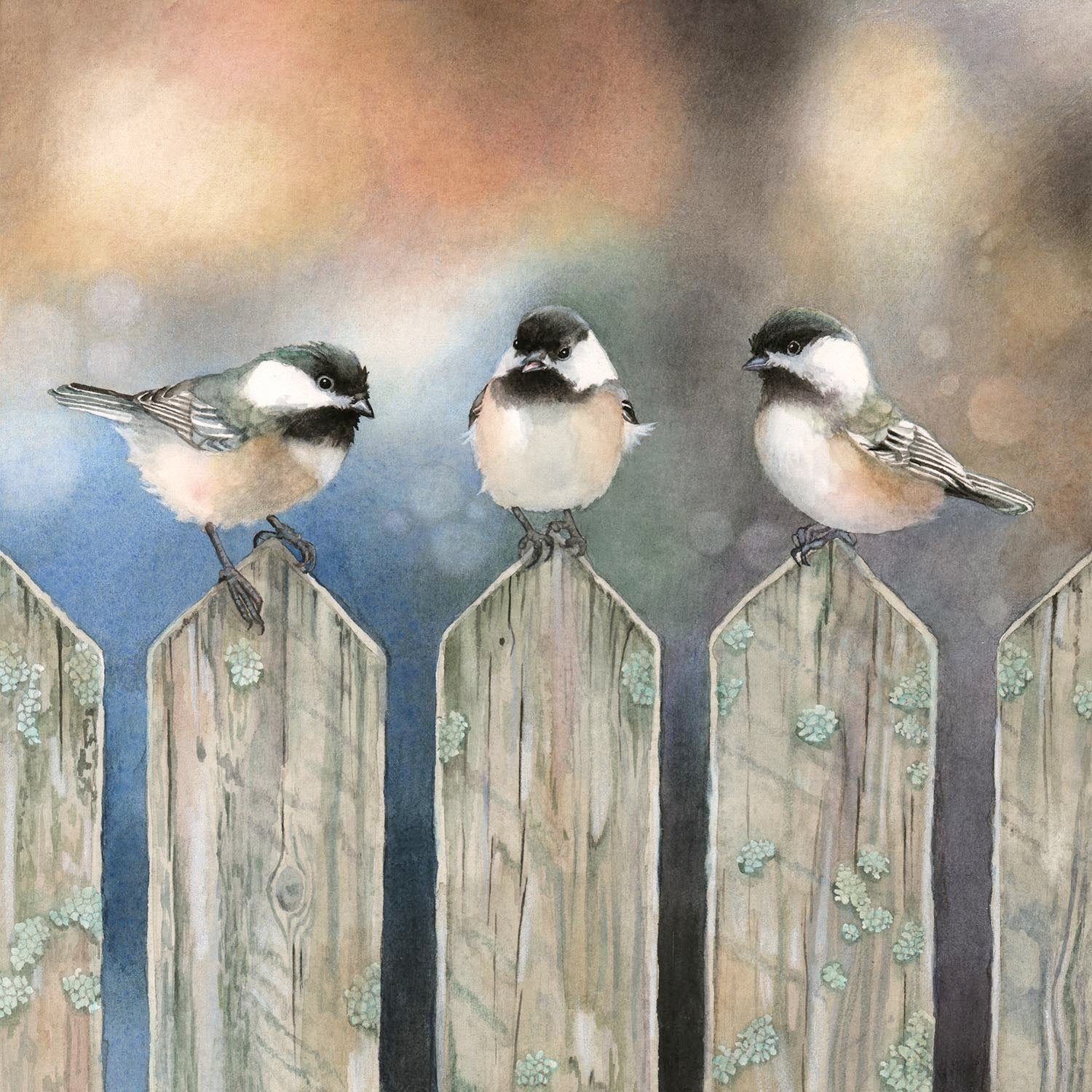 Sitting on the Fence