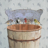 Songbirds Investigate