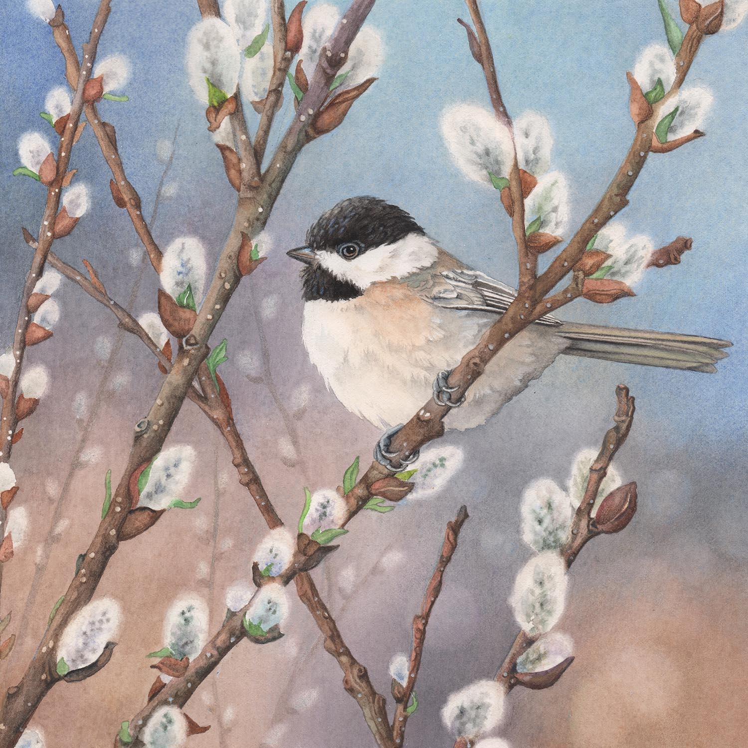 Waiting in the Willows - Gallery