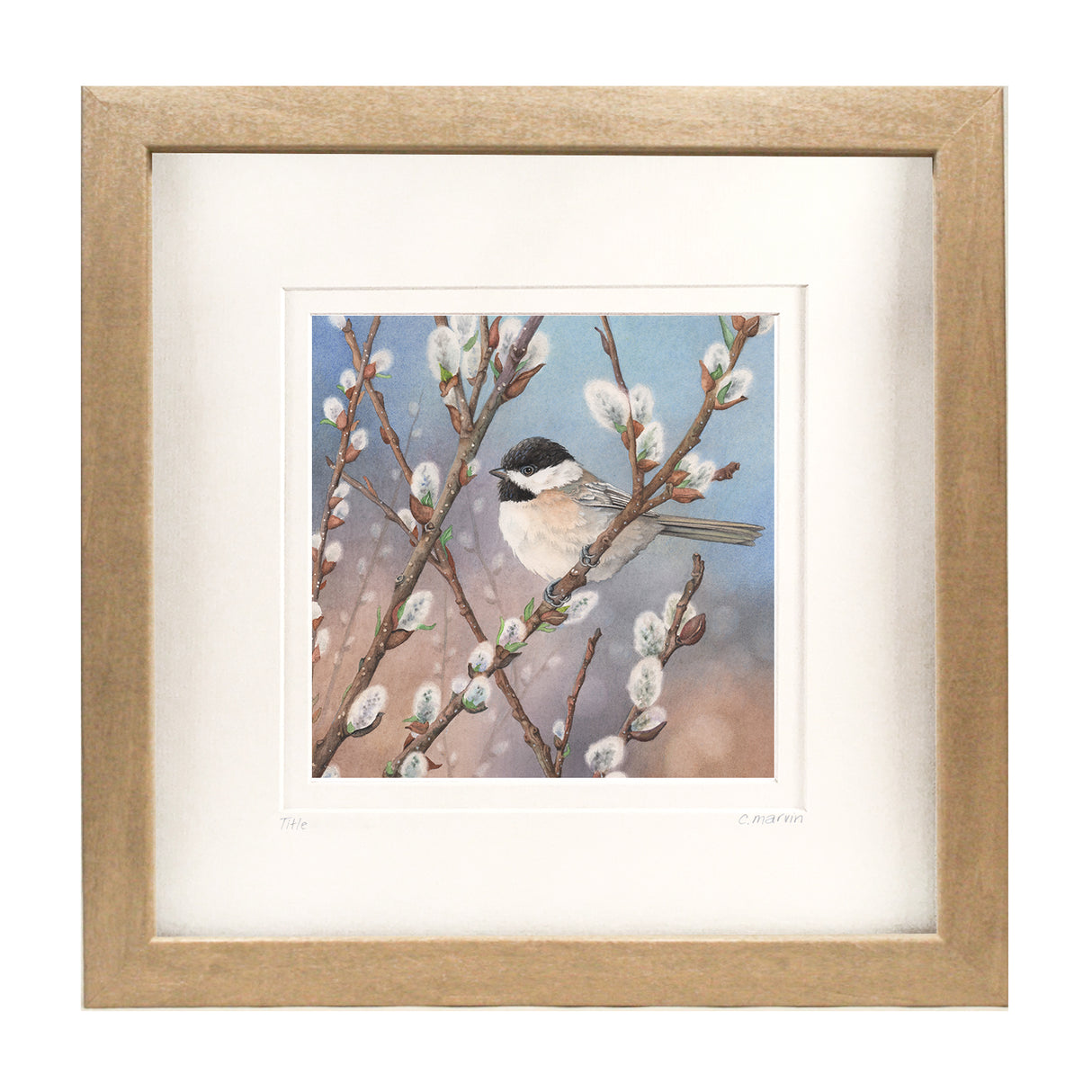 Waiting in the Willows