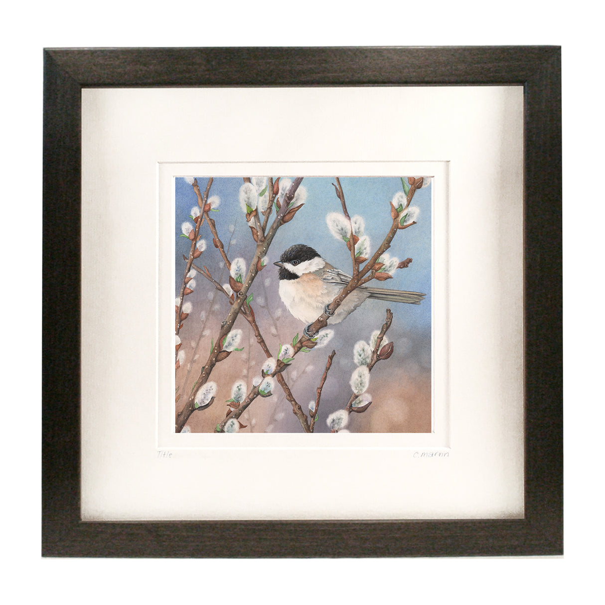 Waiting in the Willows