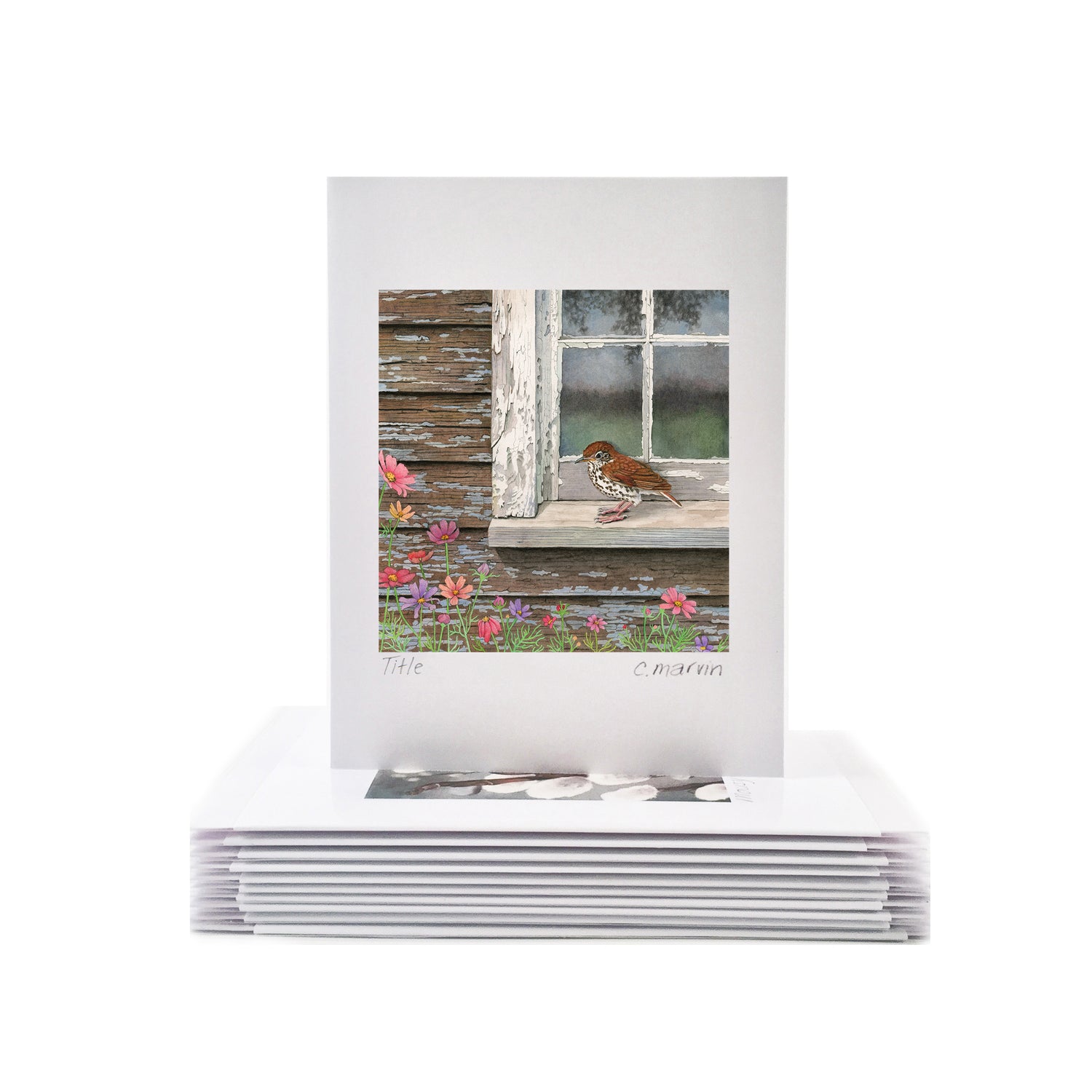 Wood Thrush at the Window