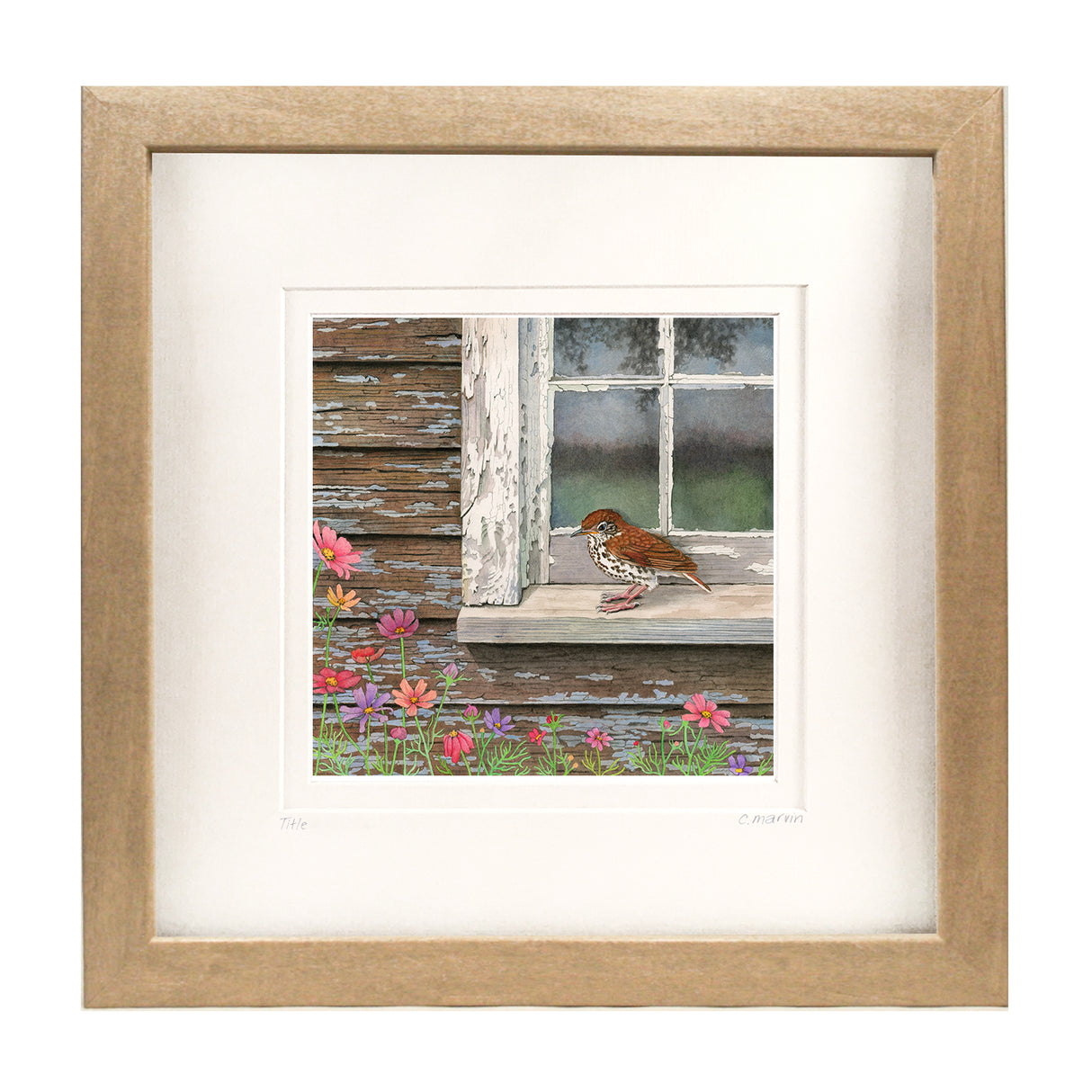 Wood Thrush at the Window